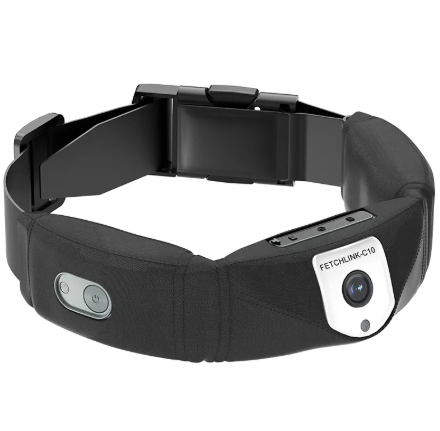 C10 Smart Pet Health Collar