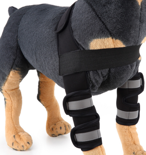 Dog Knee Brace – Joint Support for Injury Recovery & Senior Dogs